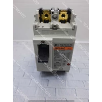 Fuji Electric MCCB / Mold Case Breaker FUJI ELECTRIC BW32AAG 2P 20A  